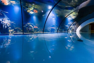 Meerwasser-Aquarium | © Alpentherme Gastein/Marktl Photography