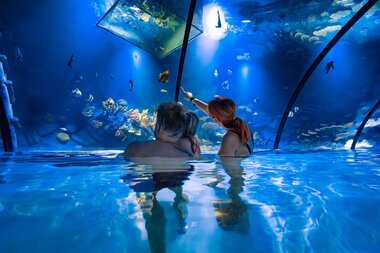 Alpentherme Gastein Meerwasser-Aquarium  | © Alpentherme Gastein/Marktl Photography