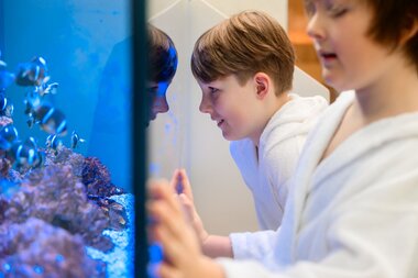 Familien-Textilsauna in der Family World | © Alpentherme Gastein/Marktl Photography