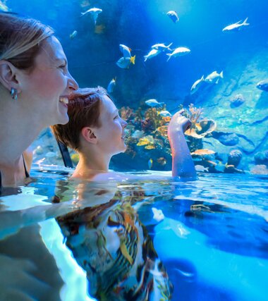 swim-in Meerwasser Aquarium in der Family World | © Alpentherme Gastein/Marktl Photography