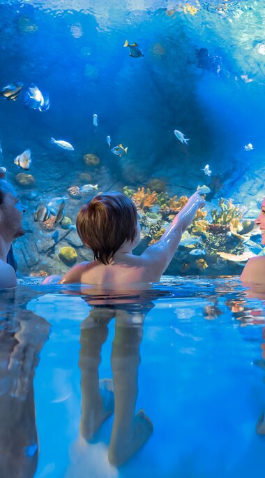 "swim-in" Meerwasser-Aquarium in der Alpentherme Gastein | © Alpentherme Gastein/Marktl Photography