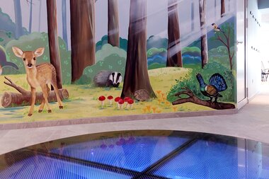 Familientextilsauna mit Meerblick ins Aquarium | © Alpentherme Gastein