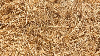 Heu | © Freepik.com/Demenkiez