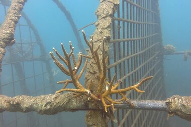 Alpentherme Riff Bali | © Reefvillage