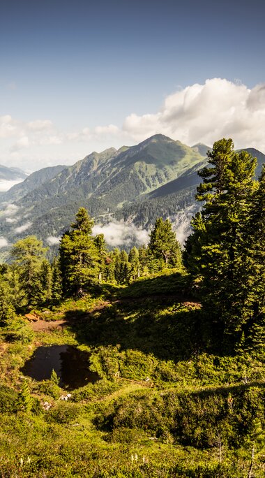 Graukogel Zirbenweg | © Gasteinertal Tourismus GmbH