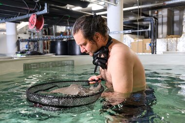 Quarantänebecken Meerwasser-Aquarium | © Alpentherme Gastein/Marktl Photography