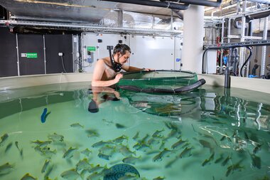 Quarantänebecken Meerwasser-Aquarium | © Alpentherme Gastein/Marktl Photography