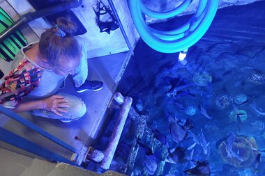 Auf Visite mit Dr. Tamara Frank | © Alpentherme Gastein